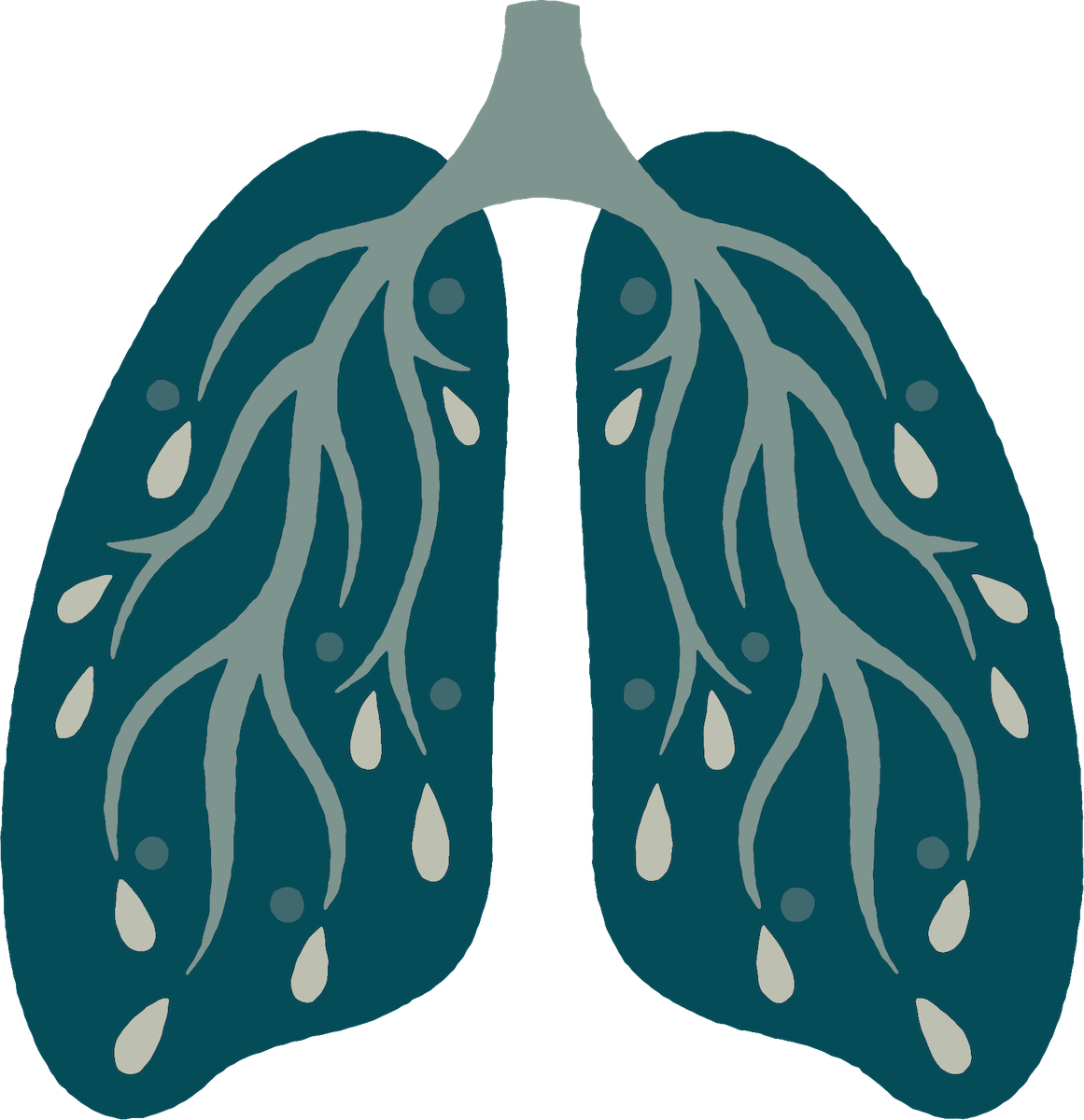 Illustration of lungs in dark teal, featuring branching airways in light gray and multiple teardrop-shaped droplets and small circles throughout both lung lobes.
