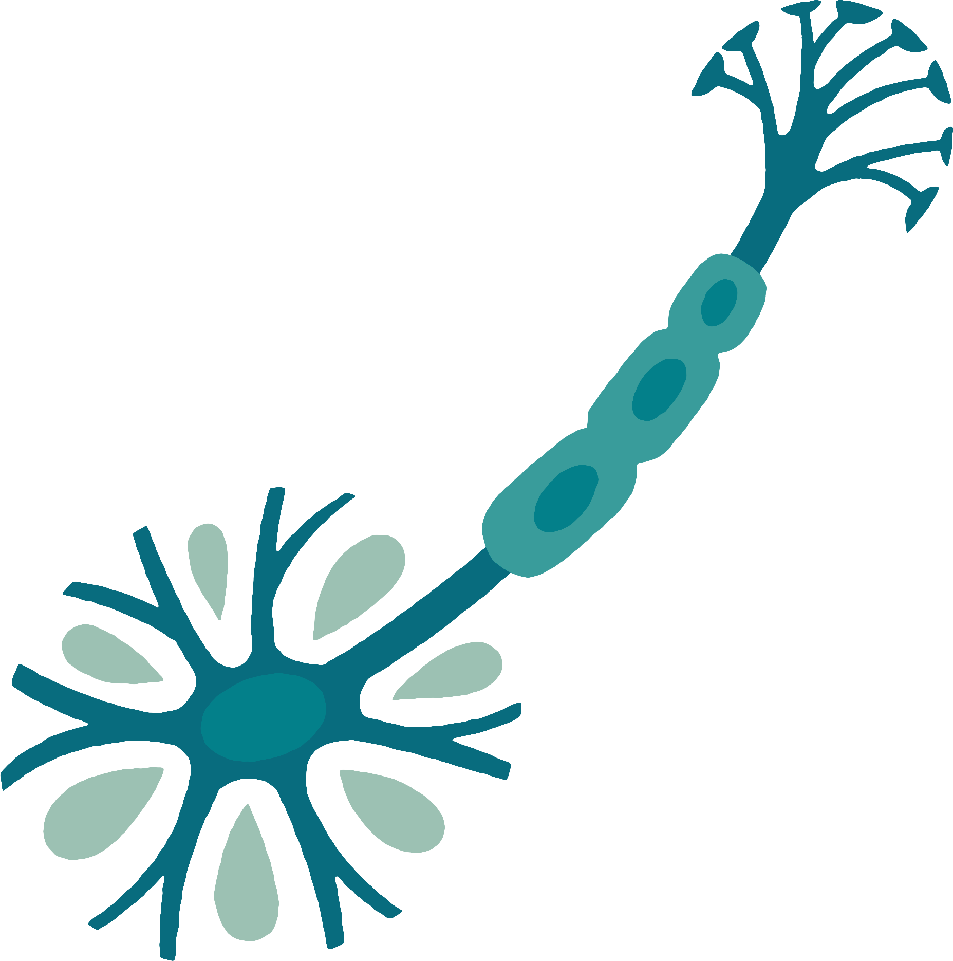 Stylized illustration of a neuron with branching dendrites on the left and an axon covered by oval-shaped myelin sheaths extending to the right, set against a teal background with geometric shapes.